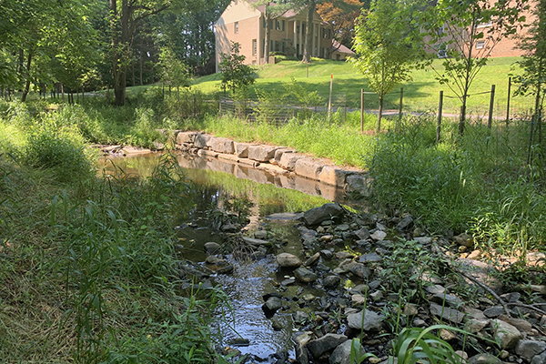 stream restoration