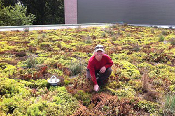 green roof project 1