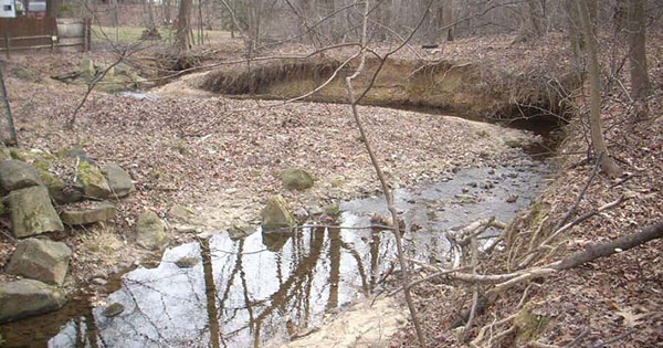 stream restoration - hollywood branch before