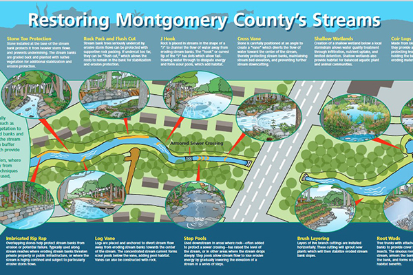 Stream Restoration in Montgomery County