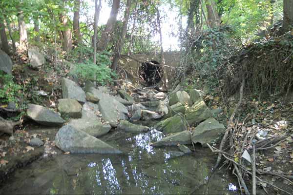 Old Farm Creek Stream Restoration Project