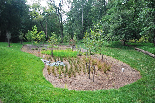stormwater featured project