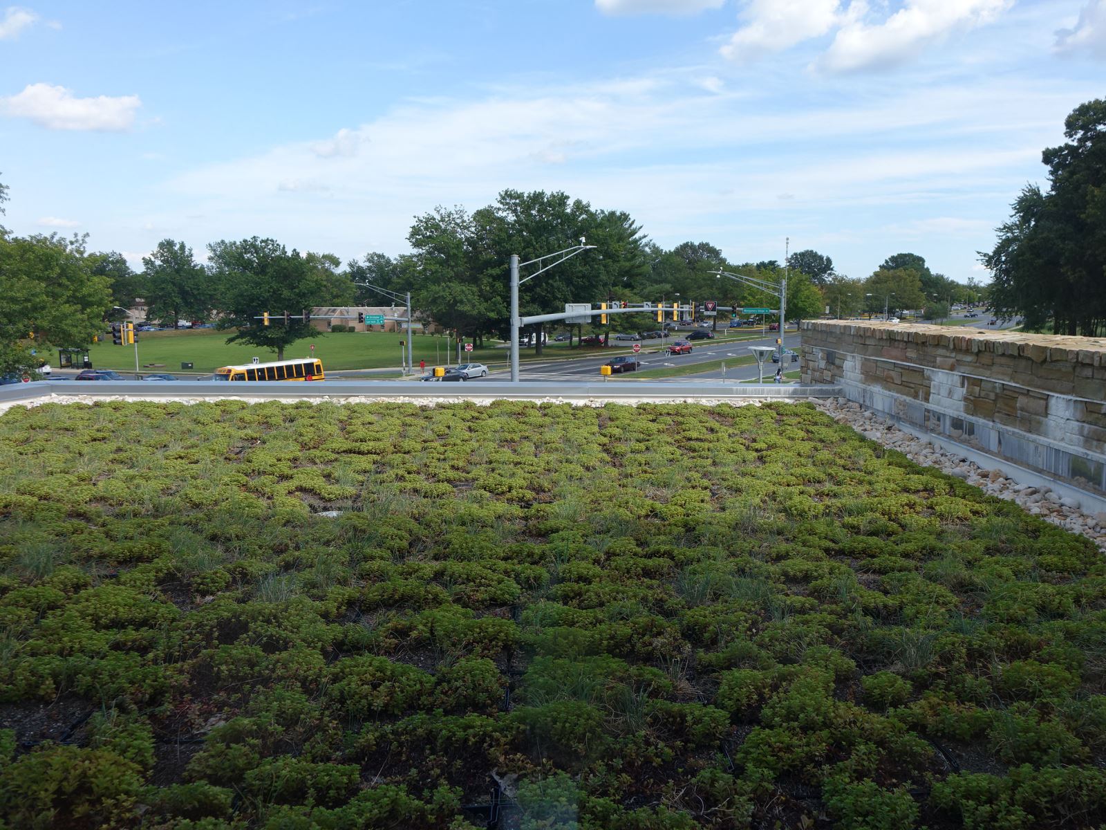 Green roof at Gaithersburg Library