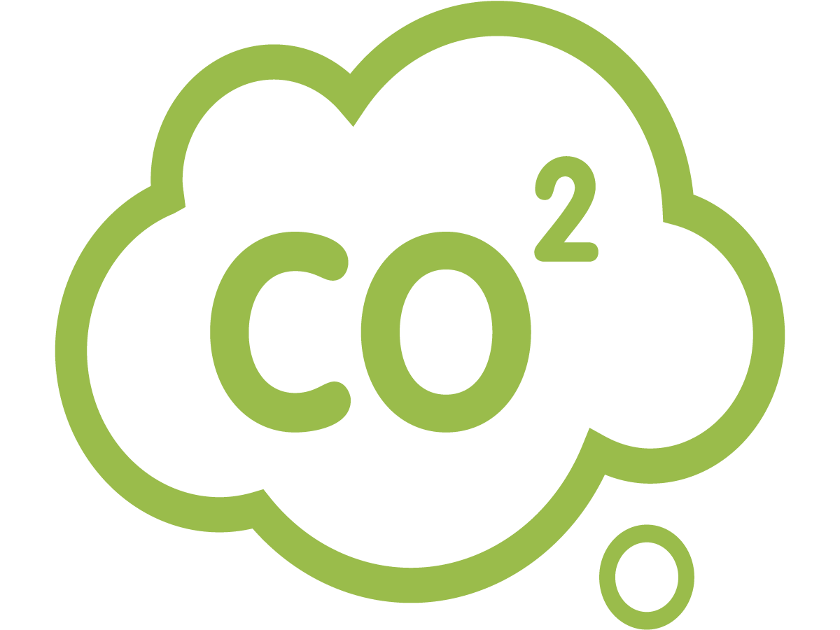 Green CO2 Icon