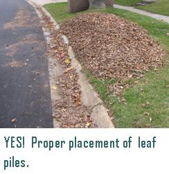 Yes! Proper placement of leaf piles. (Photo of leaves at the curb and out of the street)