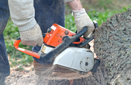 person cutting tree trunk with chain saw
