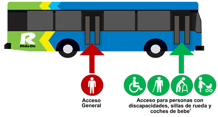 Puerta delantera: personas con discapacidades, silla de ruedas y coches de bebé. Puerta trasera: acceso general.