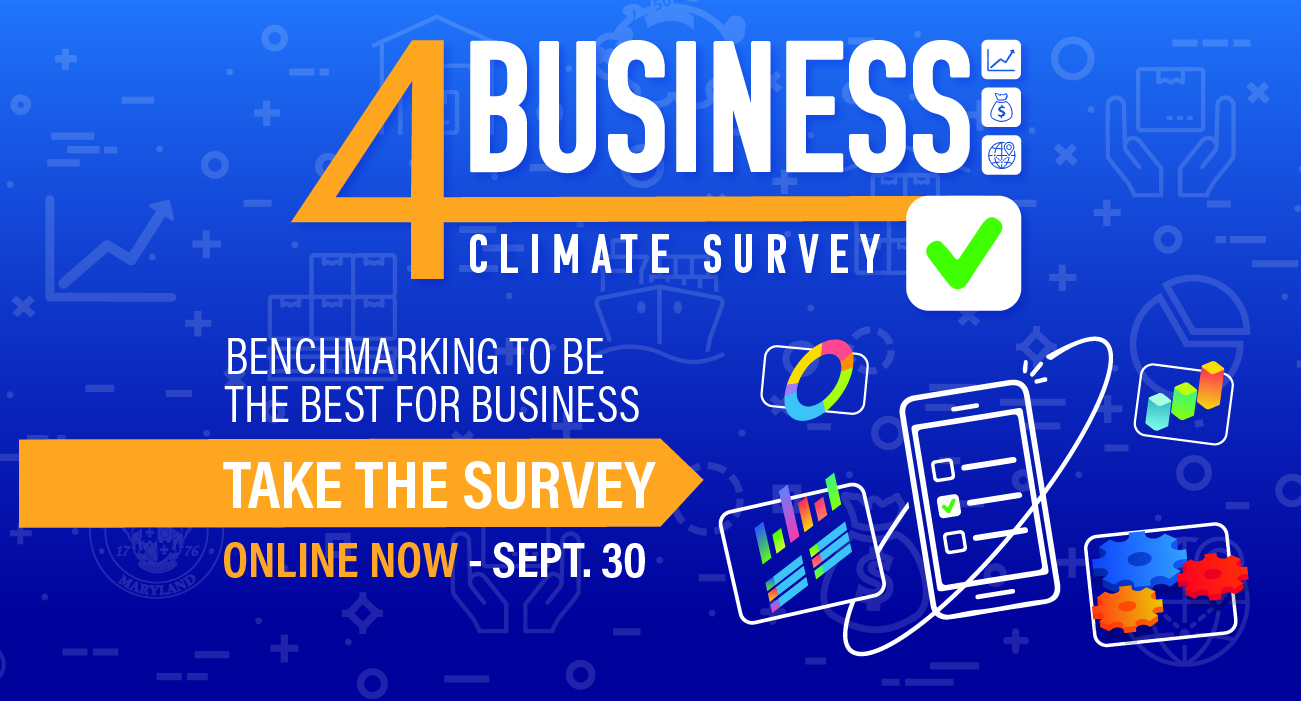 business survey