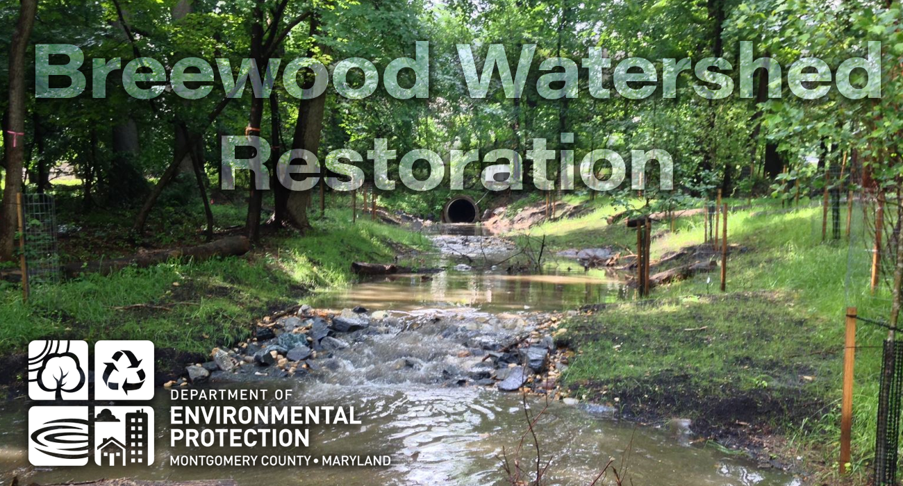 breedwood watershed restoration