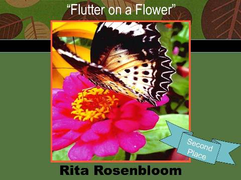 Flutter on a Flower