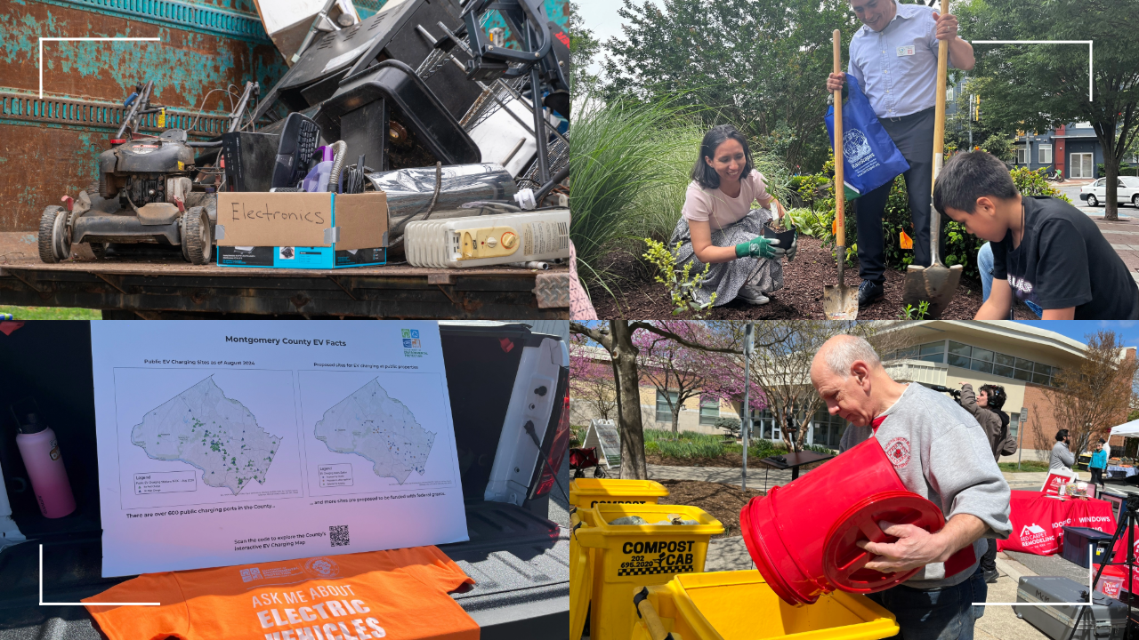 photo collage of environmental activities