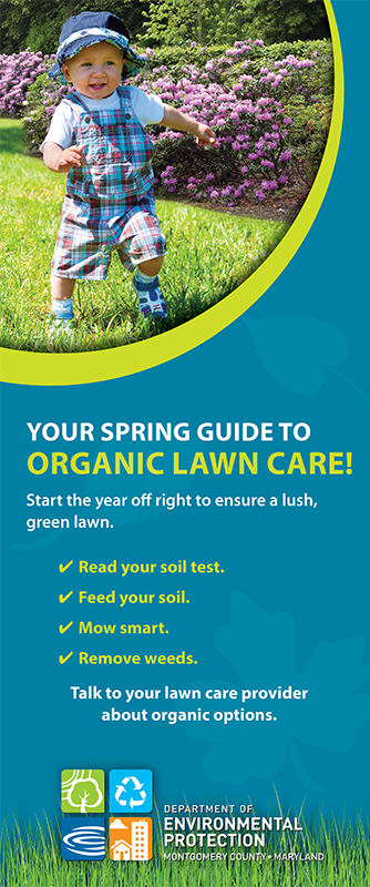 Your Guide to Spring Lawn Care