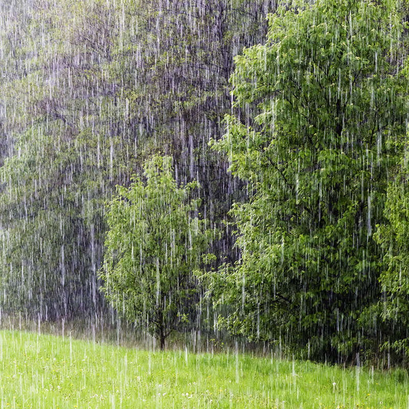 Rain by pavsie, 123RF
