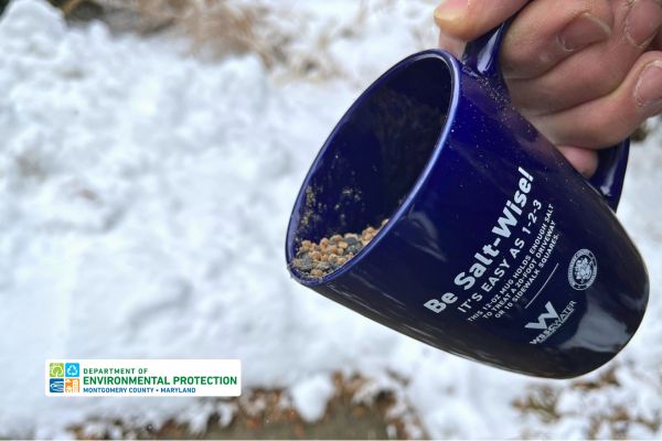 Man tilting a blue mug full of salt against a background of snow on sidewalk. The mug has the following text: Be Salt-Wise! It's easy as 1-2-3. This 12-oz. mug holds enough salt to treat a 20-foot driveway or 10 sidewalk squares. Below the text is the WSSC Water logo, the Montgomery County Maryland seal.