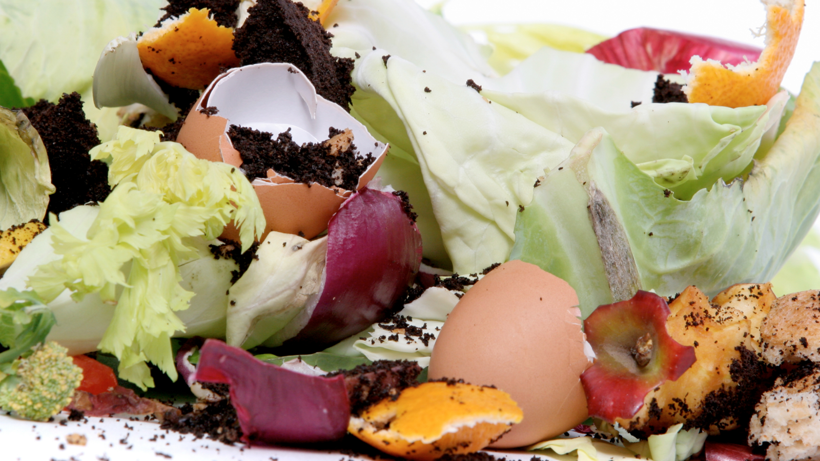 A mix of food scraps: eggshells, coffee grounds, lettuce, orange peels, apple cores.