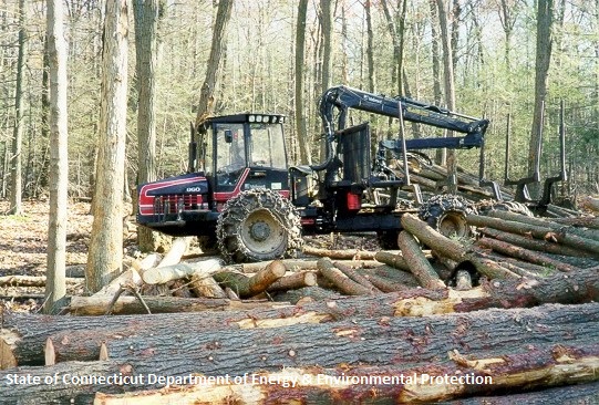 Forest and Timber Harvesting