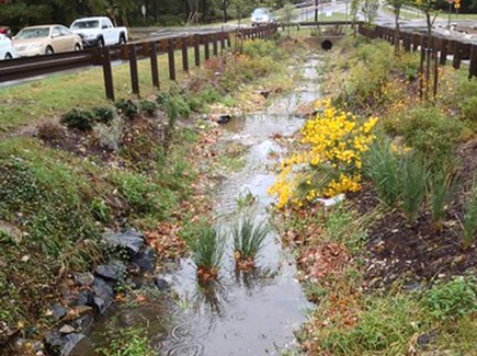 Bioretention example