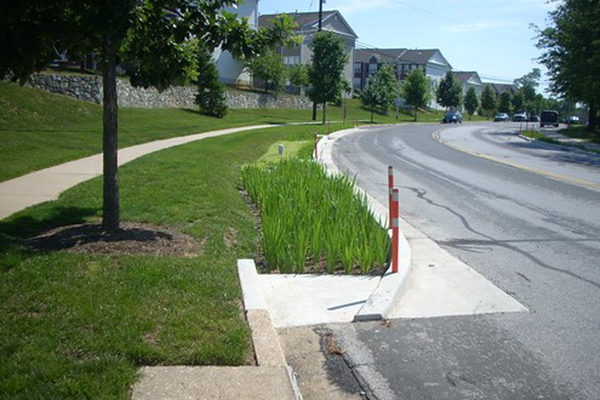 Curb Extensions