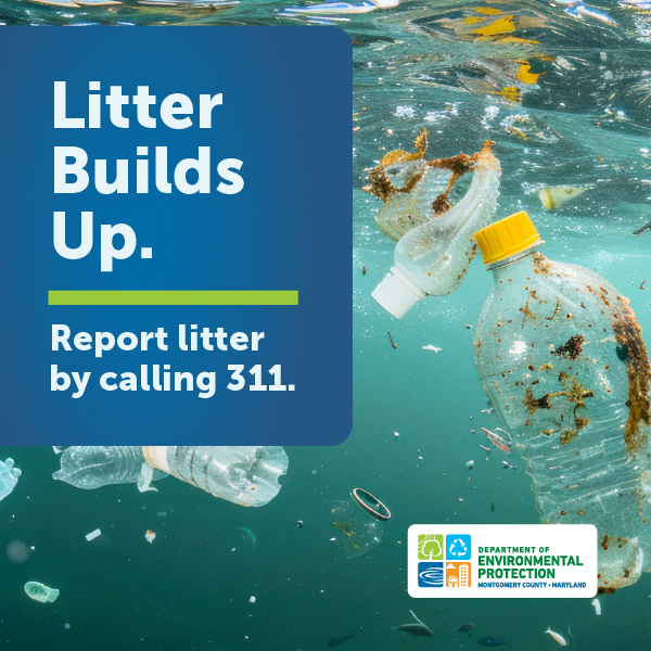 Plastic bottles and littler floating underneath water.