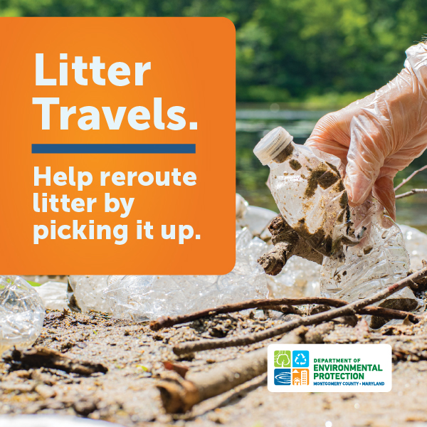 Gloved had picking up plastic water bottle from a heap of trash on the bank of a stream.