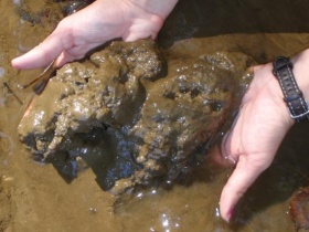 execess sediment