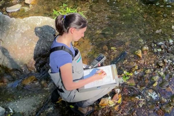 Biologists wearing waders and short sleeved shirt crouching in stream holding water quality monitor and writing on a clipboard.