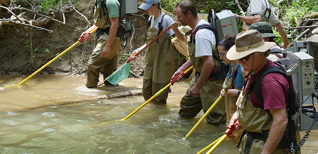 Electrofishing-stream health