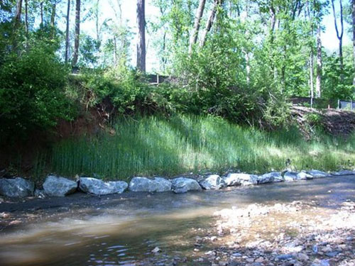 Stone toe protection