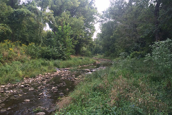 stream restoration