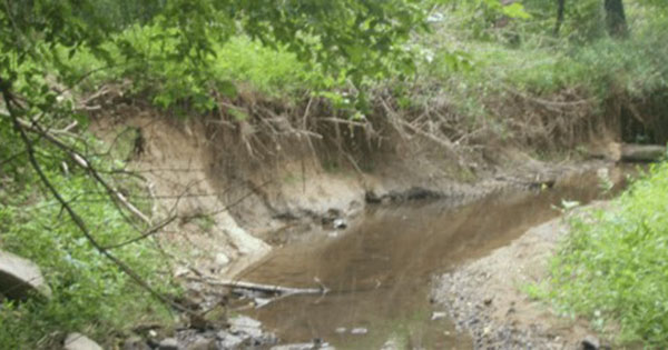 Woodlawn before stream restoration