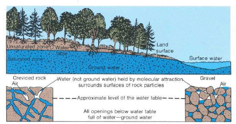 Groundwater and the Water Table
