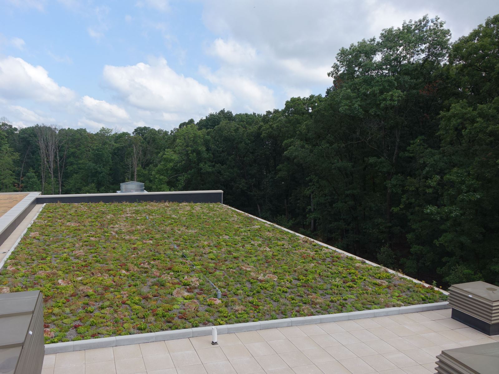 Green  roof at North Potomac Recreation Center