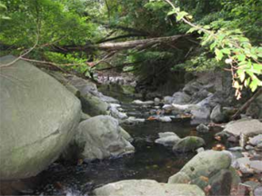 Picture of westbard sector plan