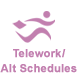 Teleworking and Alternate Schedules