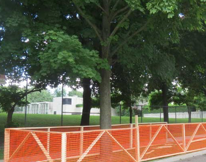 photo of tree protected by fencing
