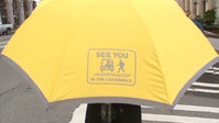 Seattle Umbrella Ped Safety Initiative