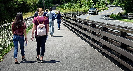 photo of people walking