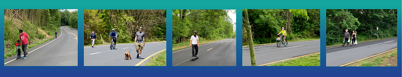 Adult with child on scooter; walker, biker, and person with dog; skateboarder; biker; two people walking with shopping bags