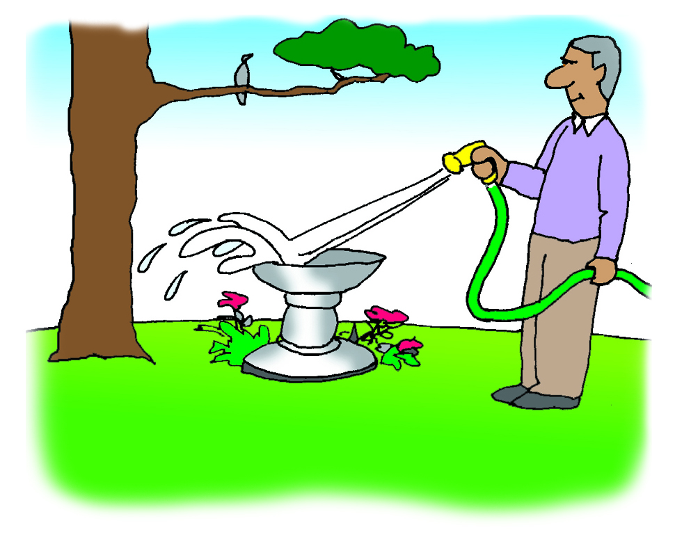 Graphic of a person flushing a birdbath.