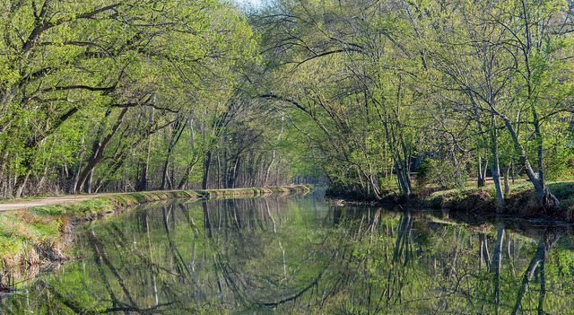 View of a stream