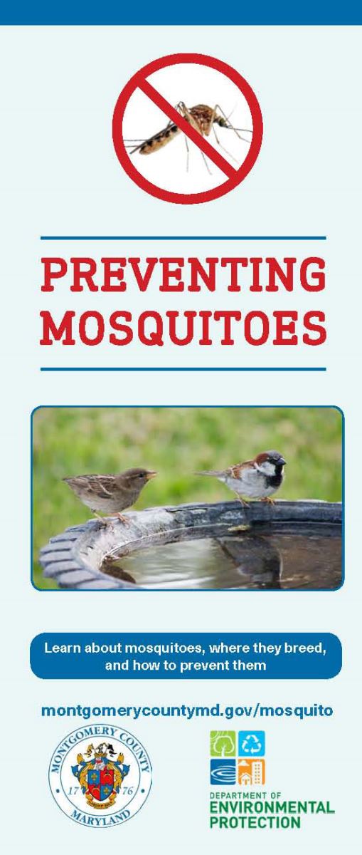 Mosquito Brochure Front
