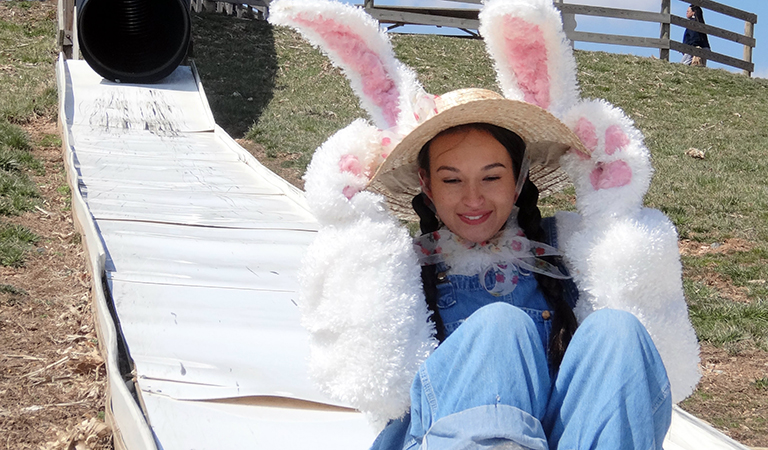 bunny land at butler's orchard