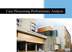 Cover page for Case Processing Performance Analysis
