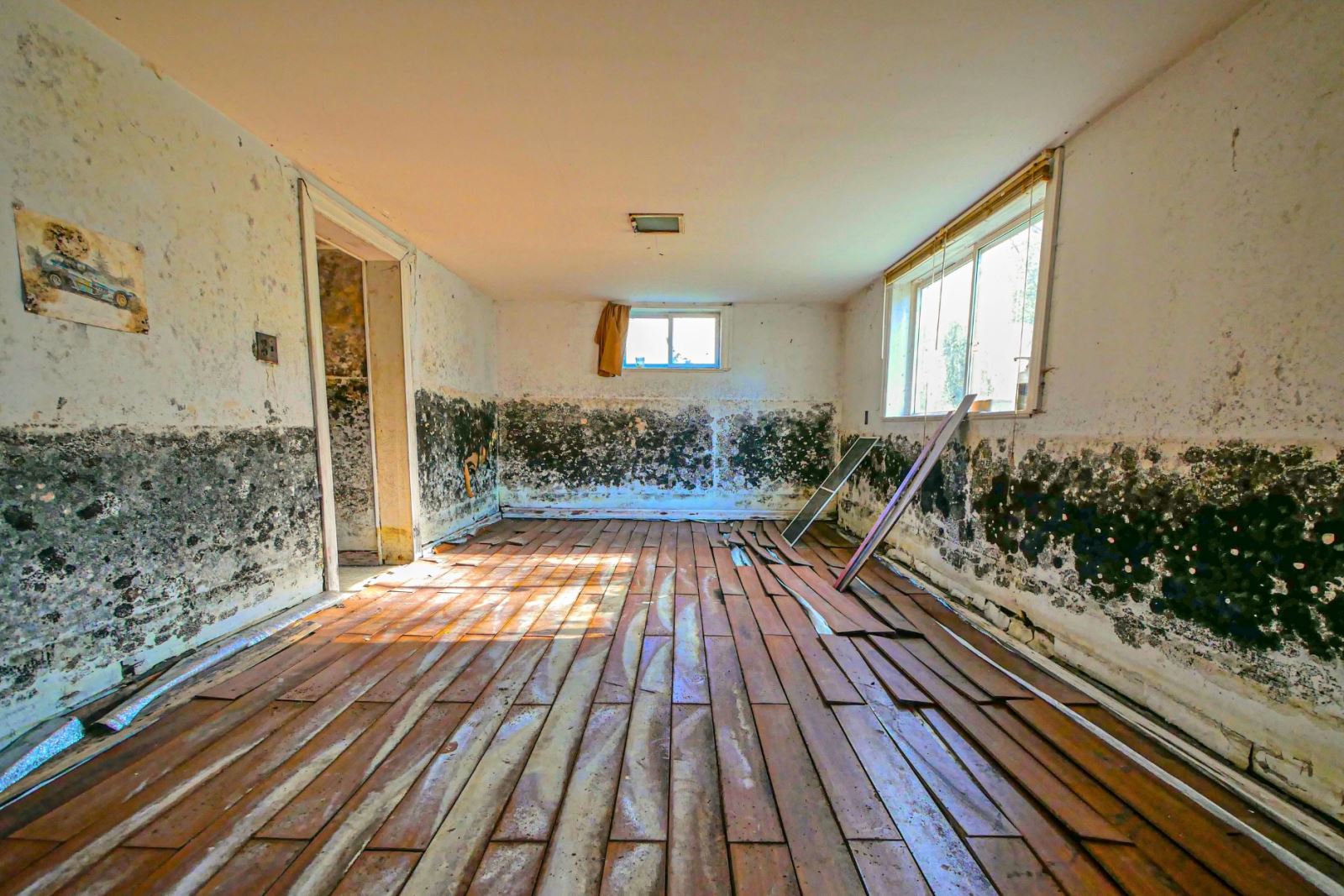 home with ruined floors and mold on walls to flood water line