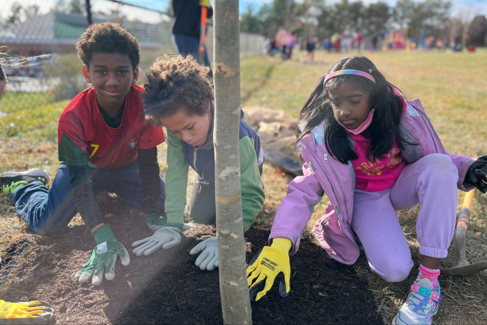 children planting tree in schoolyard