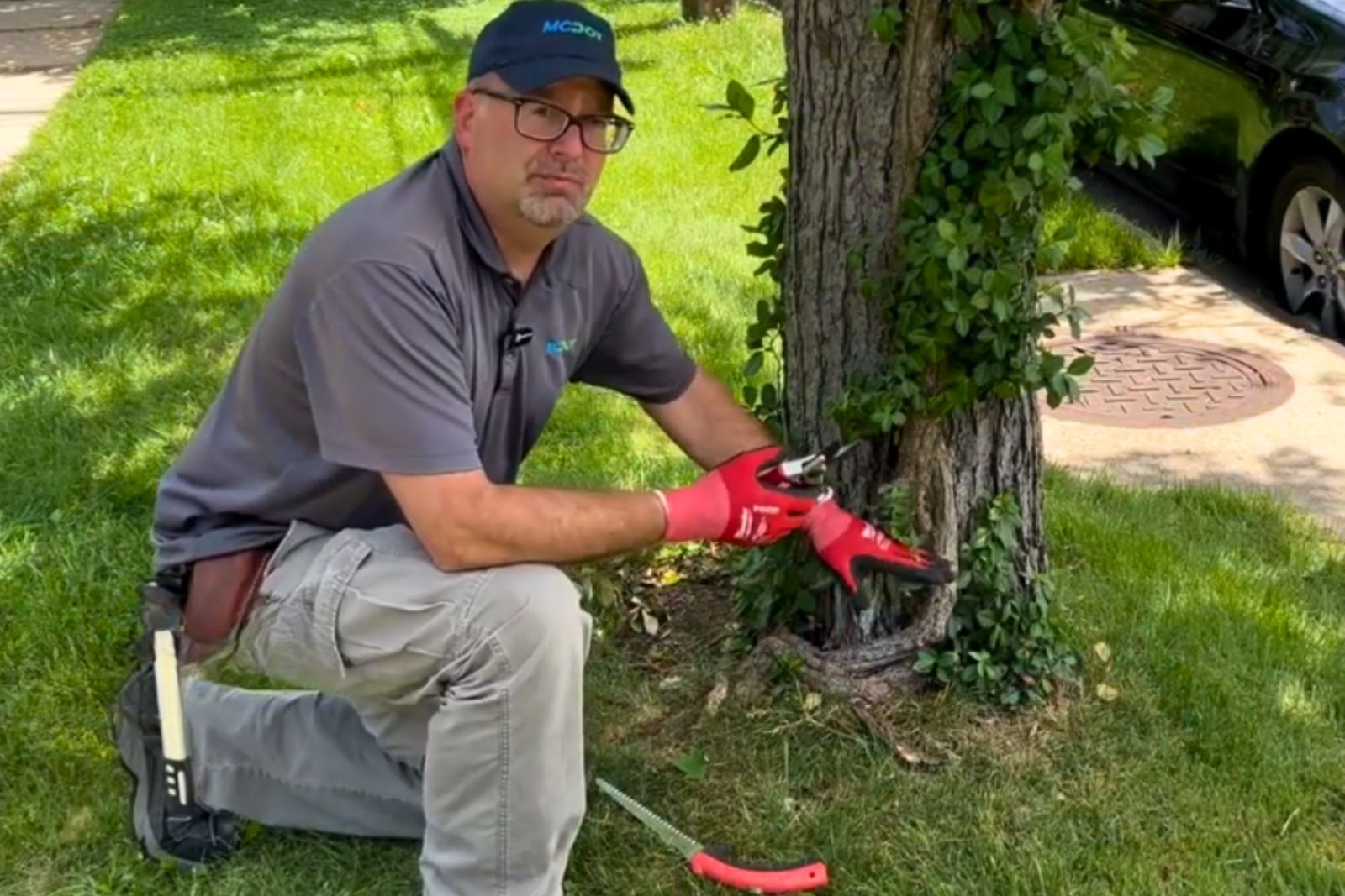 man removing vine from tree from right-of-way