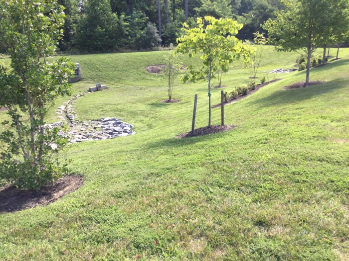 Photo of a dry pond with trees and rip rap. 