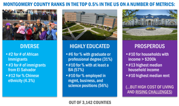 County demographics data