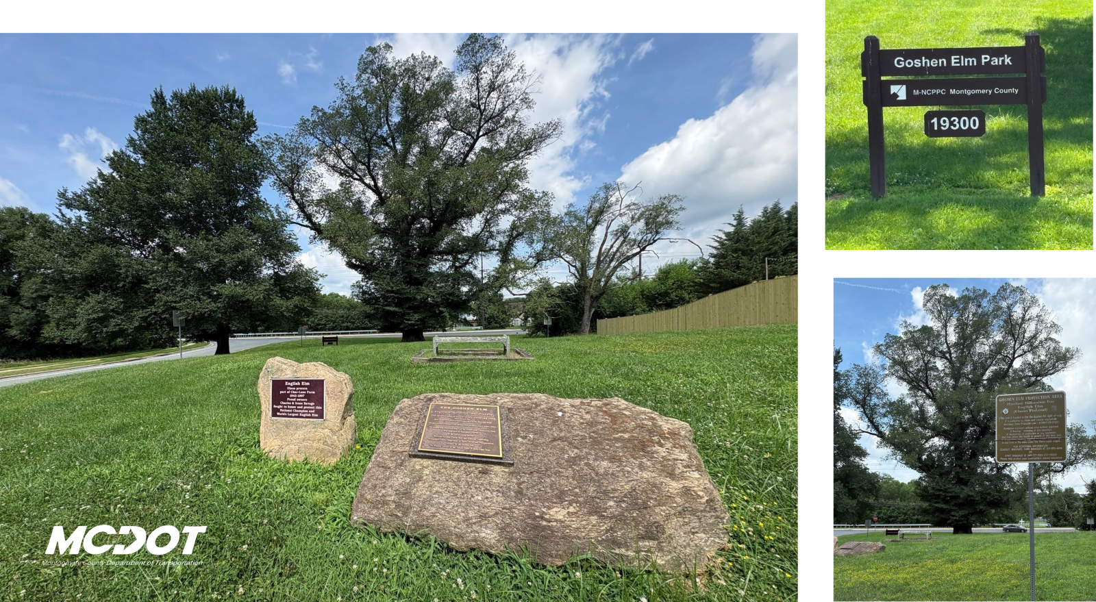 Photo of an ABS delivery truck with Visit Montgomery's Tastemakers Trail advertising.
