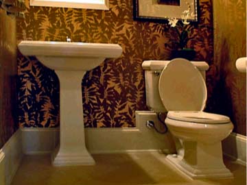 toilet and pedestal sink